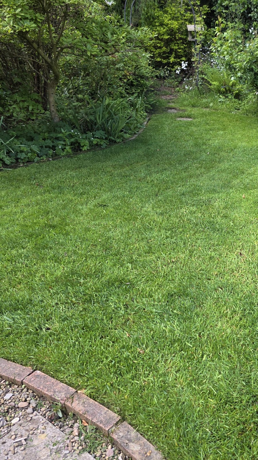 A freshly edged lawn in Garforth